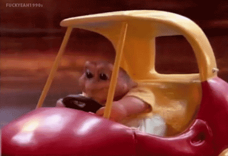 giphy.gif