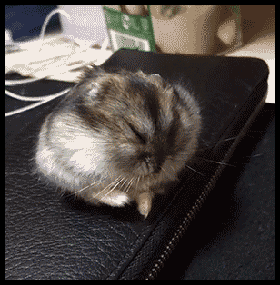 tumblr_o1vi4aSkb11rbrg5uo1_400.gif
