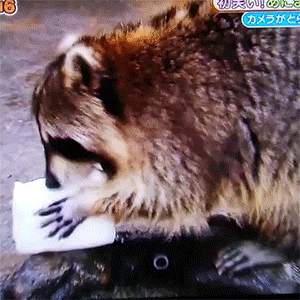 oG0XjQ3.gif