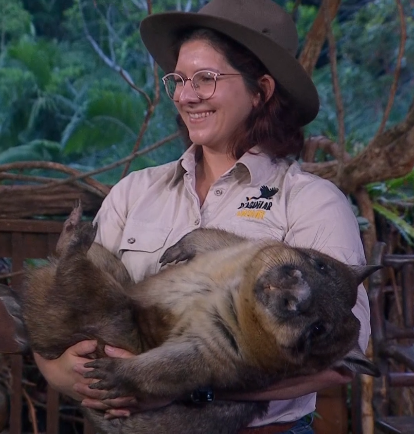 Wombat.png