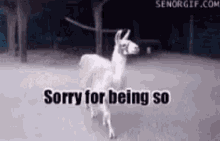 tenor.gif