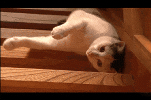 200.gif
