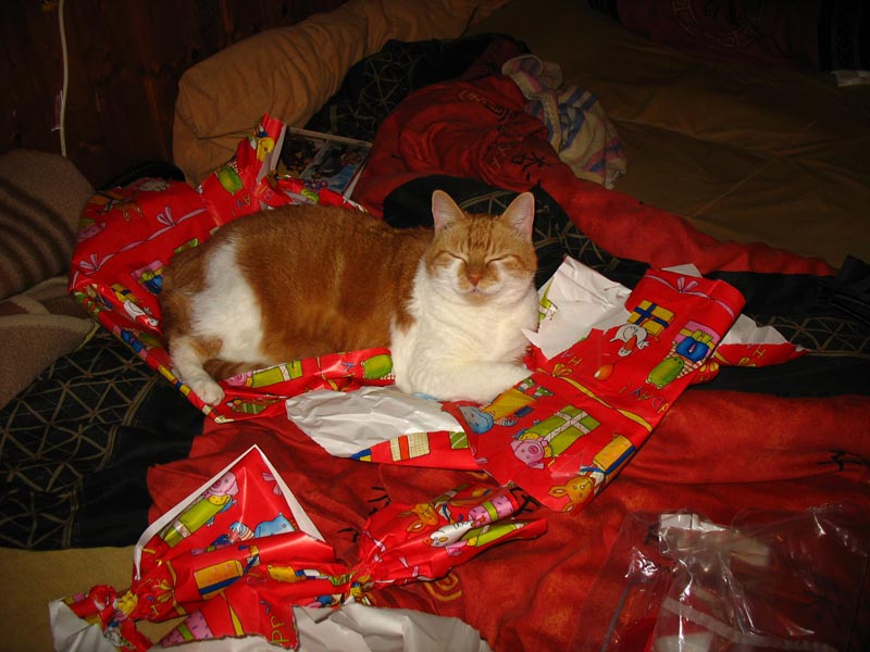 lissy6.jpg