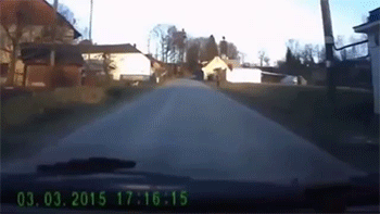 tumblr_nmhin1q7ty1rc7zl1o1_400.gif