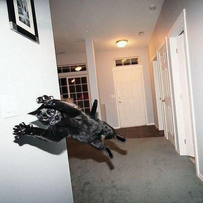 bva8v2w3sjjbb3vnk.jpg
