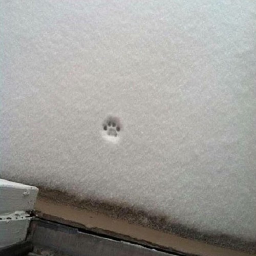 thumbs_picdump497_84.jpg