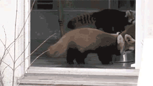 qXnoaIt.gif