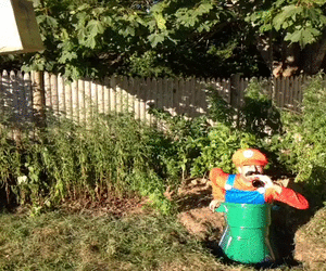 18.gif