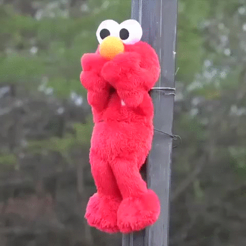 zP7oymC.gif