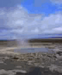 giphy.gif