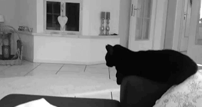 tumblr_mw57txeGhy1sk2lzto1_400.gif