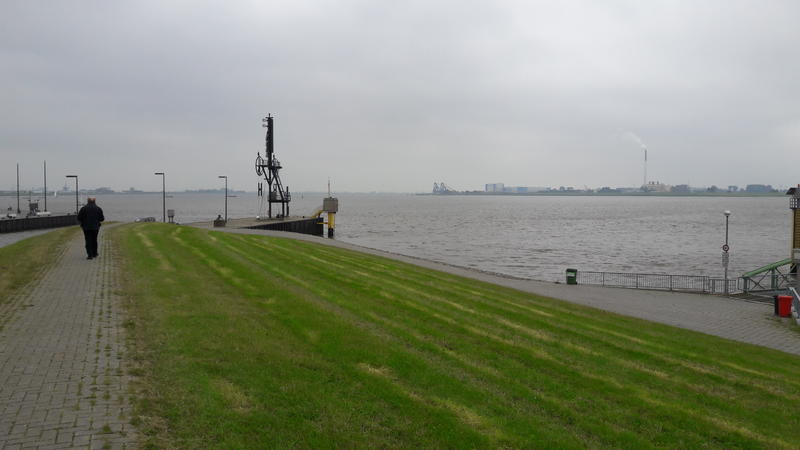 26234092wj.jpg
