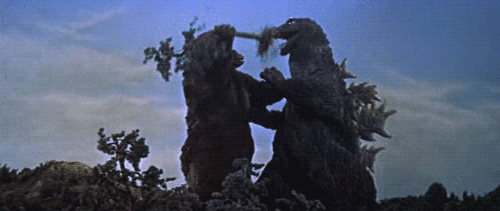 8623472.gif