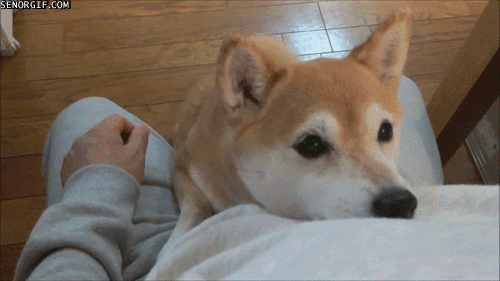 source.gif