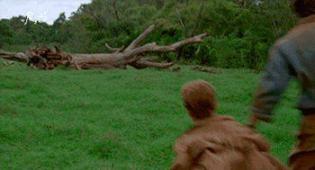 tumblr_ngnidpMyXu1tpmgf1o1_400.gif