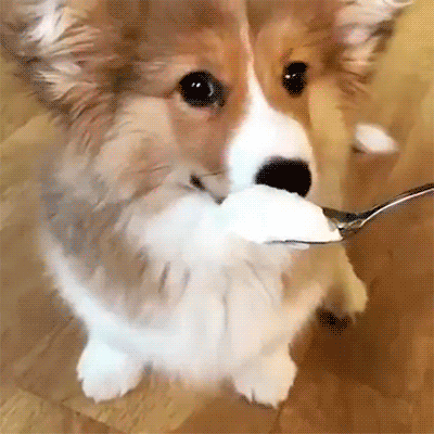 2AXrvB3.gif