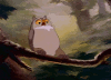 bs8q4ehv0b7st7n19.gif