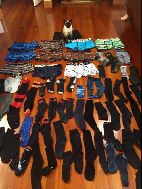 tumblr_inline_o4cotfPg8e1rbz39m_500.jpg