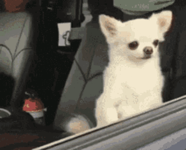 wake-up-arise.gif