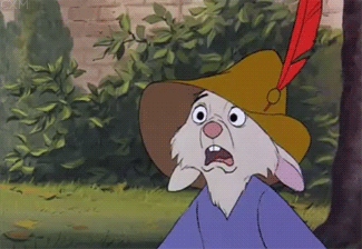 tumblr_mx6qu0JfT41rqgazso1_400.gif