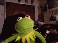tumblr_lunxs2slbX1r4ghkoo1_250.gif