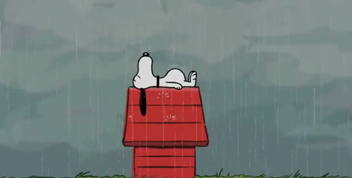 7Q0pD.gif