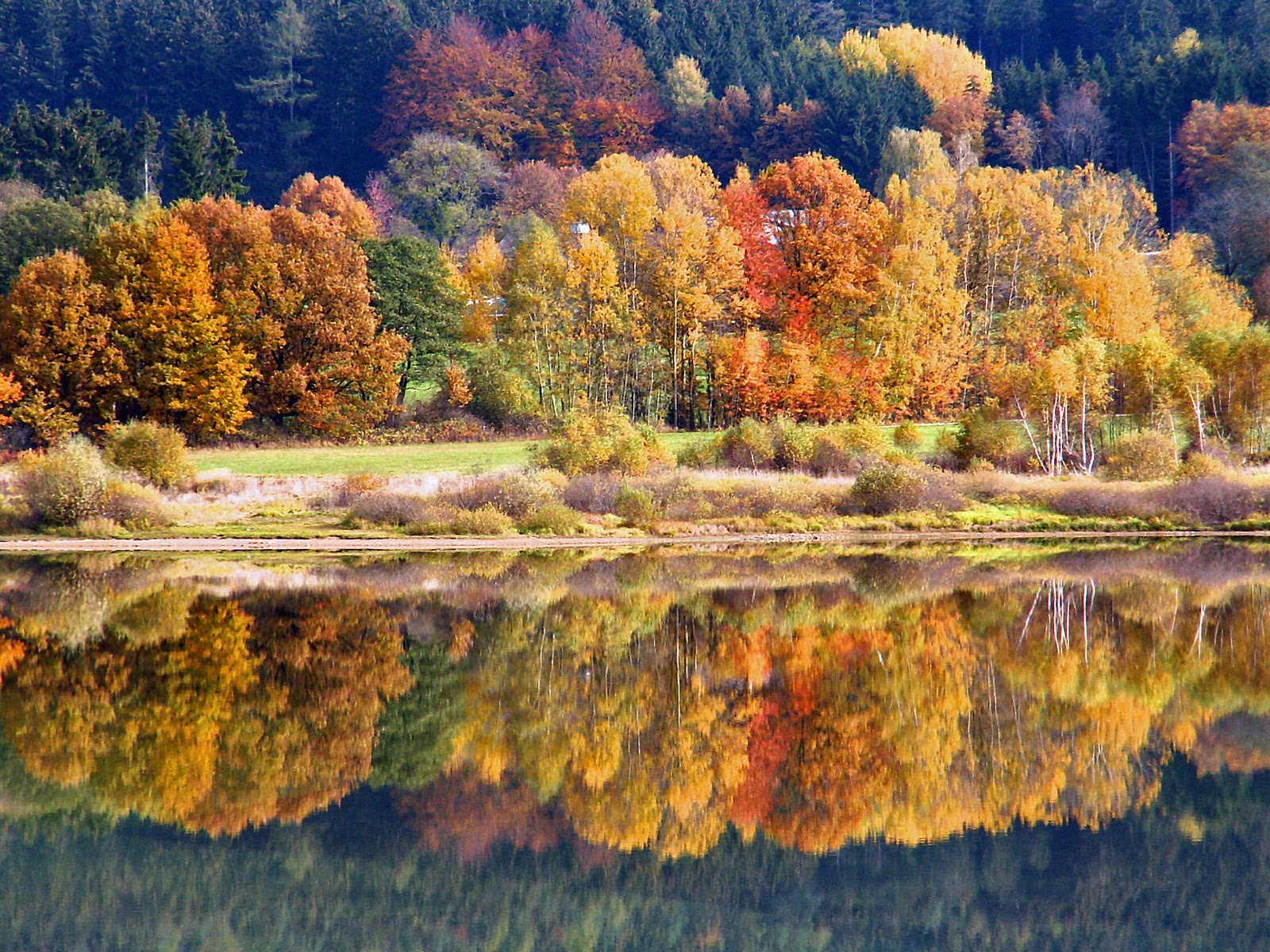 herbst.jpg