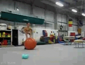 4Sl223H.gif