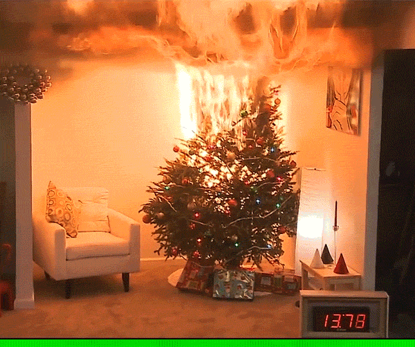 giphy.gif