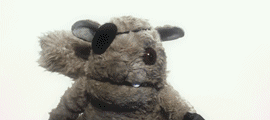 Oedcvuw.gif