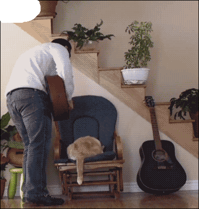 ogv588yu.gif