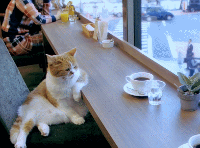 animated-gifs-117-004.gif