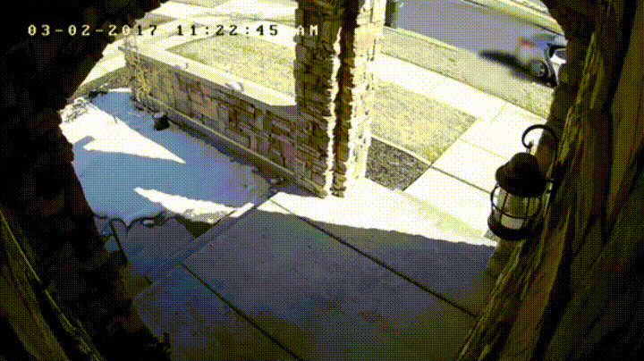0NyYqoJ.gif