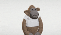 200w.gif
