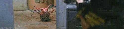 giphy.gif