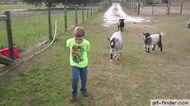 giphy.gif