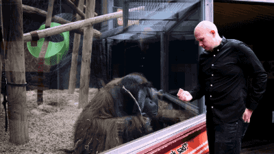 tumblr_of3nvdIxz21s02vreo1_400.gif
