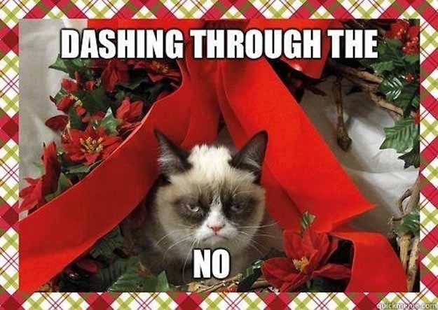 grumpycat.jpg