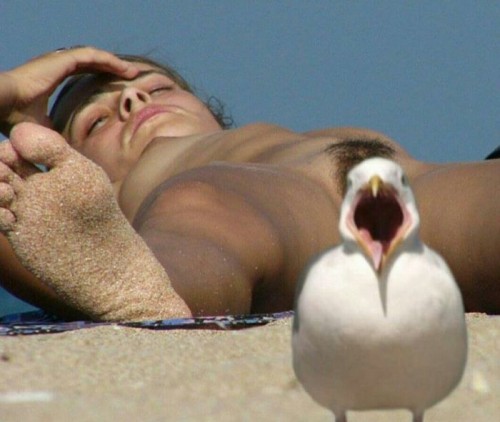 thumbs_picdump448_111.jpg