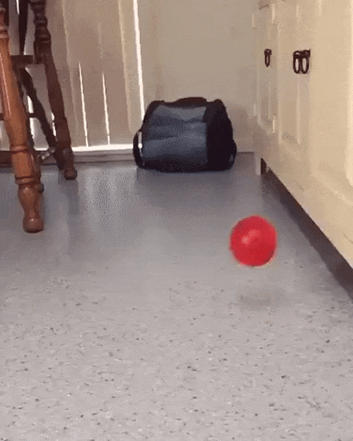 waLSdgx.gif