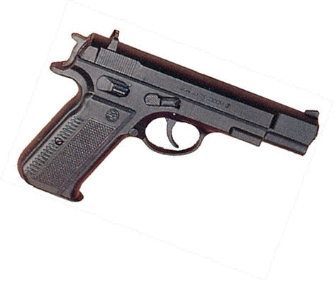 tbW8uDW_pistole.gif