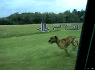 tumblr_mn7qtpqIfw1qmzsn0o1_400.gif