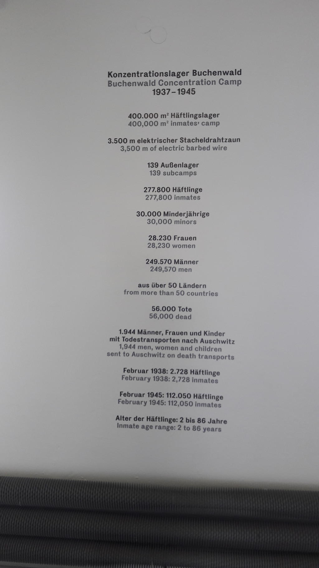 32566181uc.jpg