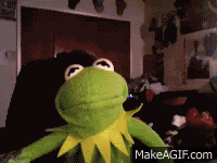 N7ip.gif