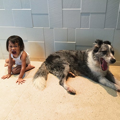 516qGUm-PpL._SS500.jpg