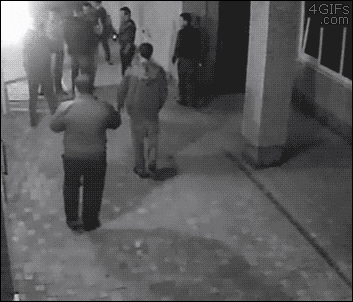 giphy.gif