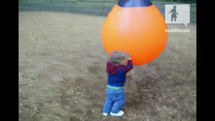 Ncl6RXj.gif