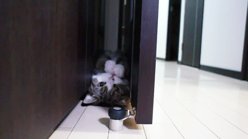 mbeBm.gif