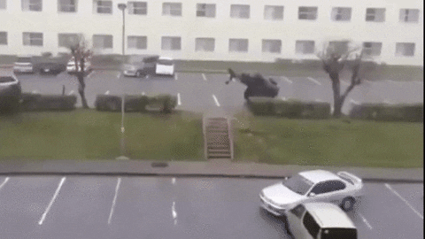 giphy.gif