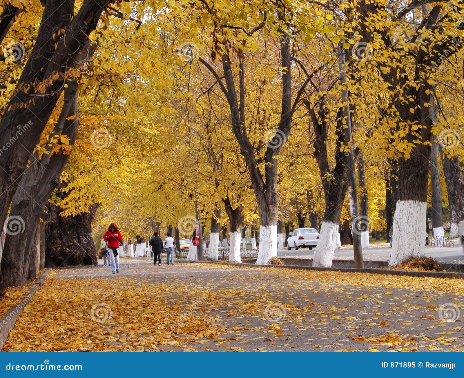 autumn-city-street-871895.jpg